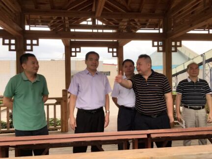 6731顶级游戏(官方)最新IOS/安卓版/手机版APP下载