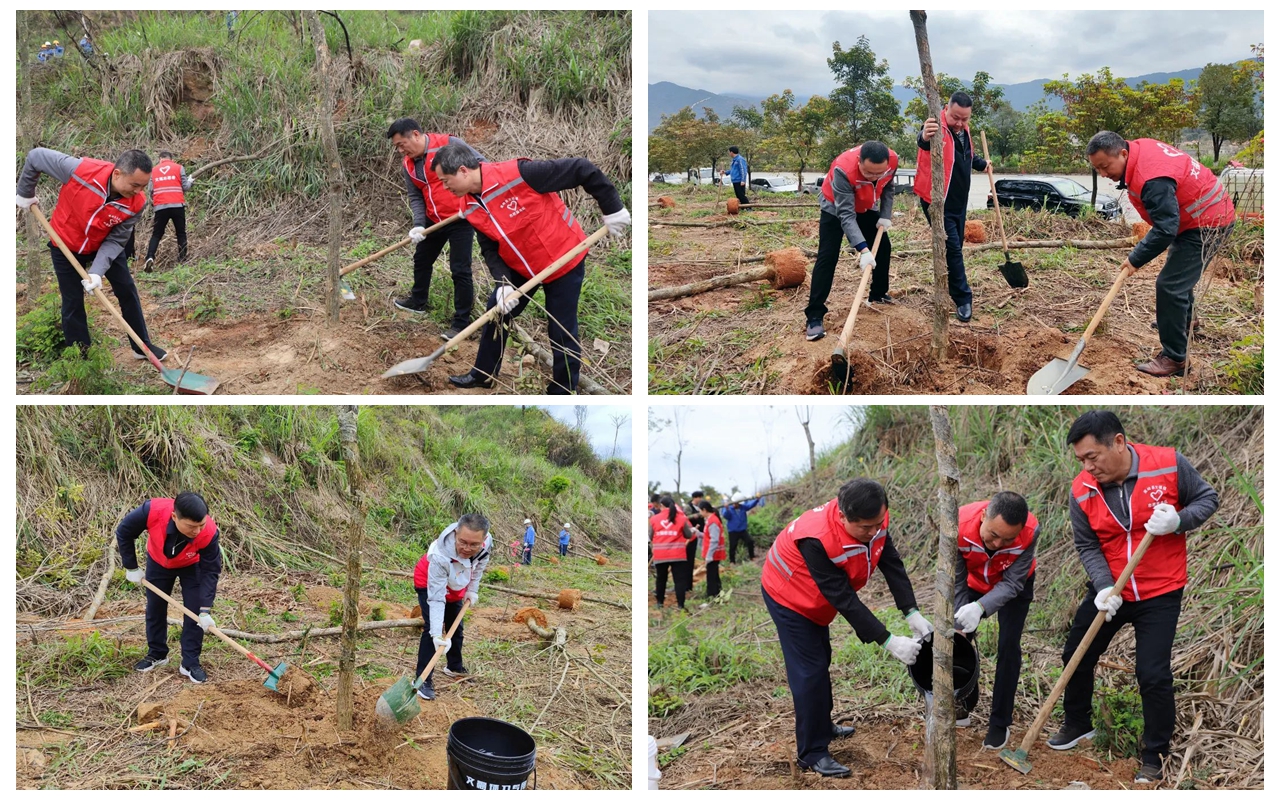 6731顶级游戏(官方)最新IOS/安卓版/手机版APP下载