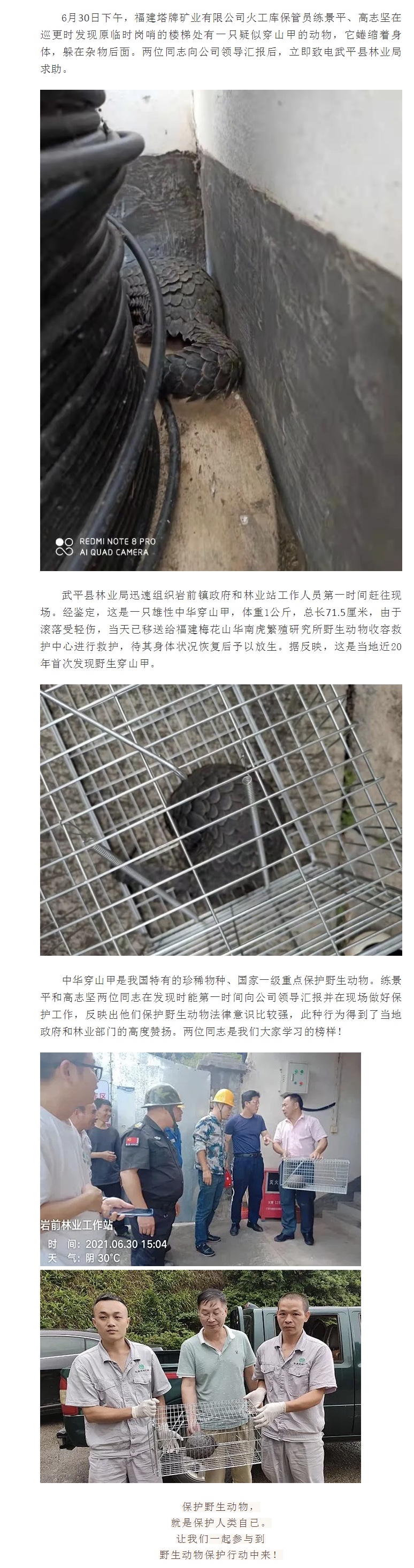 6731顶级游戏(官方)最新IOS/安卓版/手机版APP下载